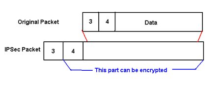 Figure 2: Tunnel Mode